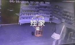 爆料食品视频大全集播放,爆料视频大全集深度解析