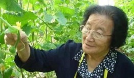 娱乐吃瓜戴手环的是谁,揭秘神秘明星幕后生活